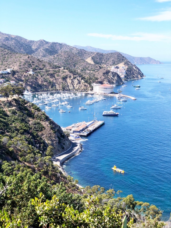 Santa Catalina Island,&nbsp;California