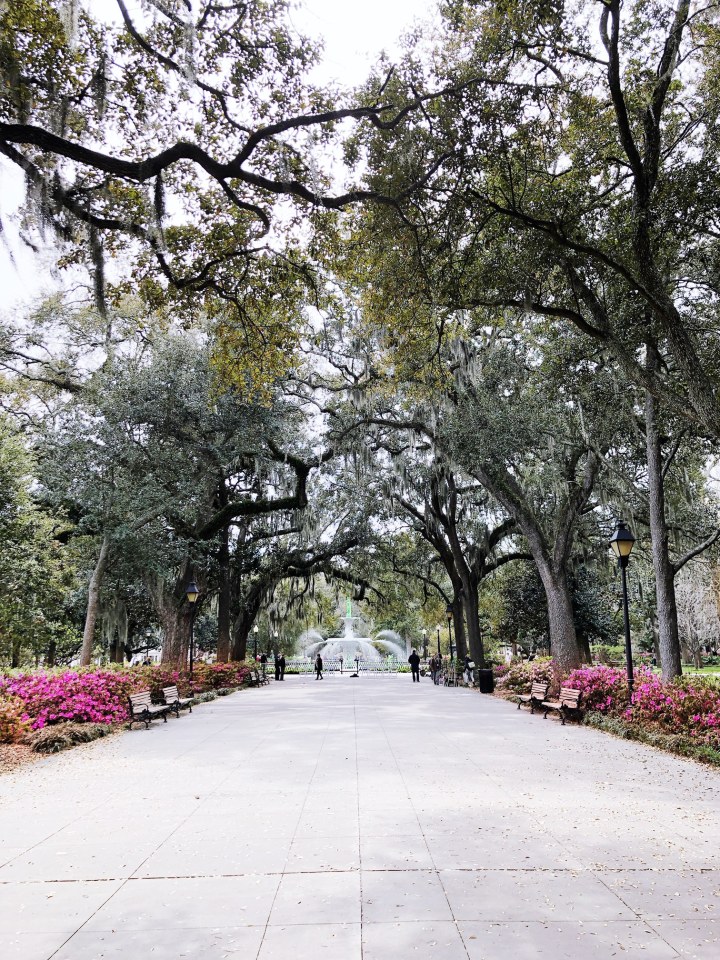 Spontaneous Trip to&nbsp;Savannah