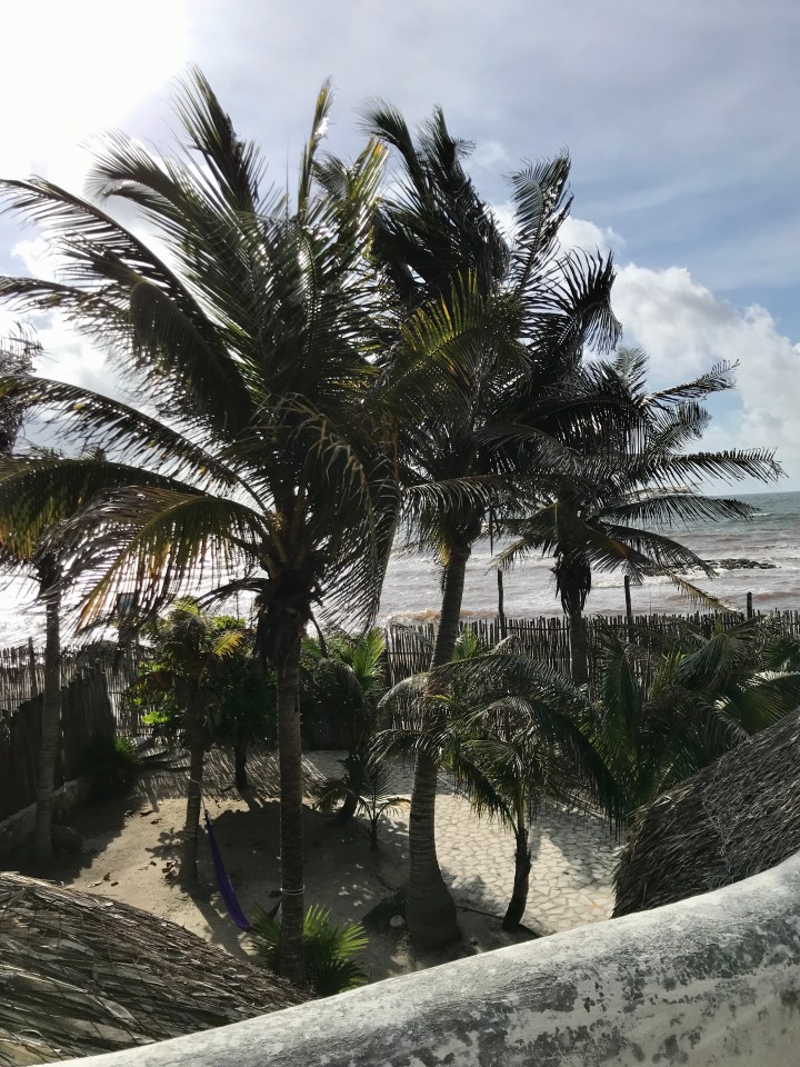 {View from Casa Laura at Zamas Hotel in Tulum}