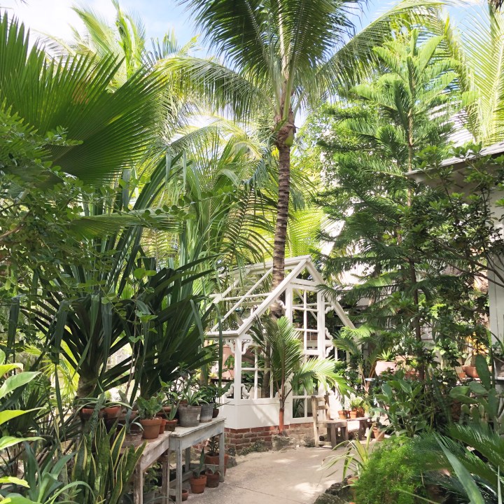 {Entryway for Posada Margherita in Tulum}