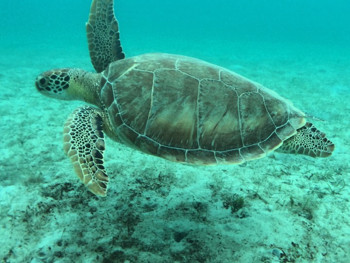 Puerto Rico Girls Trip&nbsp;Itinerary