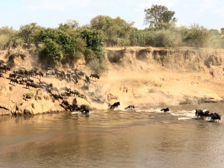 Mara River crossing