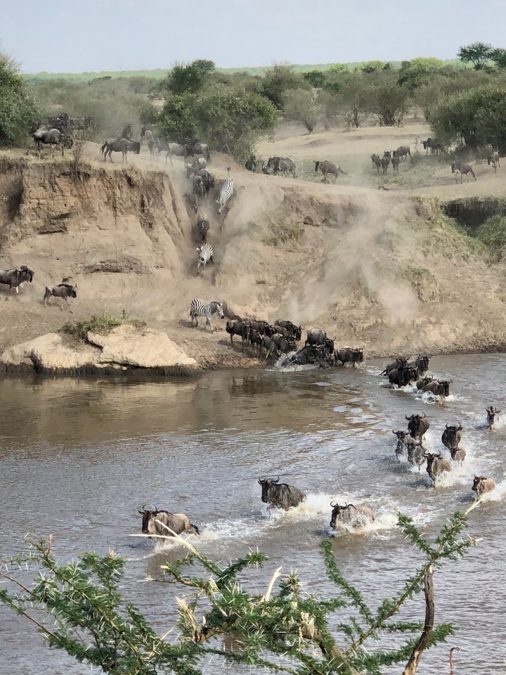 Honeymoon Part II: Tanzania Safari in the&nbsp;Serengeti